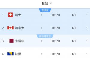 4队1分！世界杯B组按纪律分&世排定排名，瑞士1黄第1&波黑3黄垫底